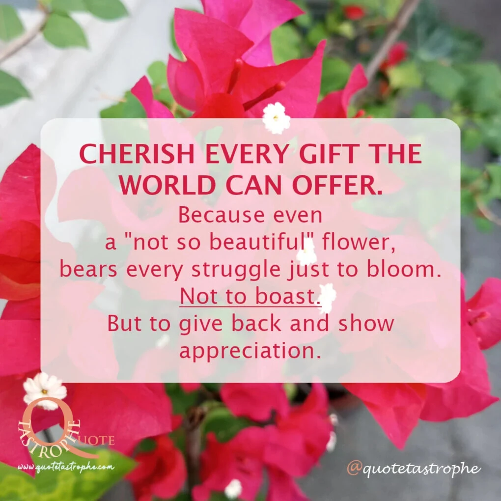 Cherish Every Gift The World Can Offer