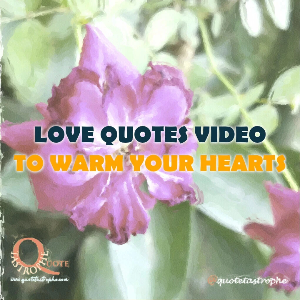 Love Quotes Video To Warm Your Hearts