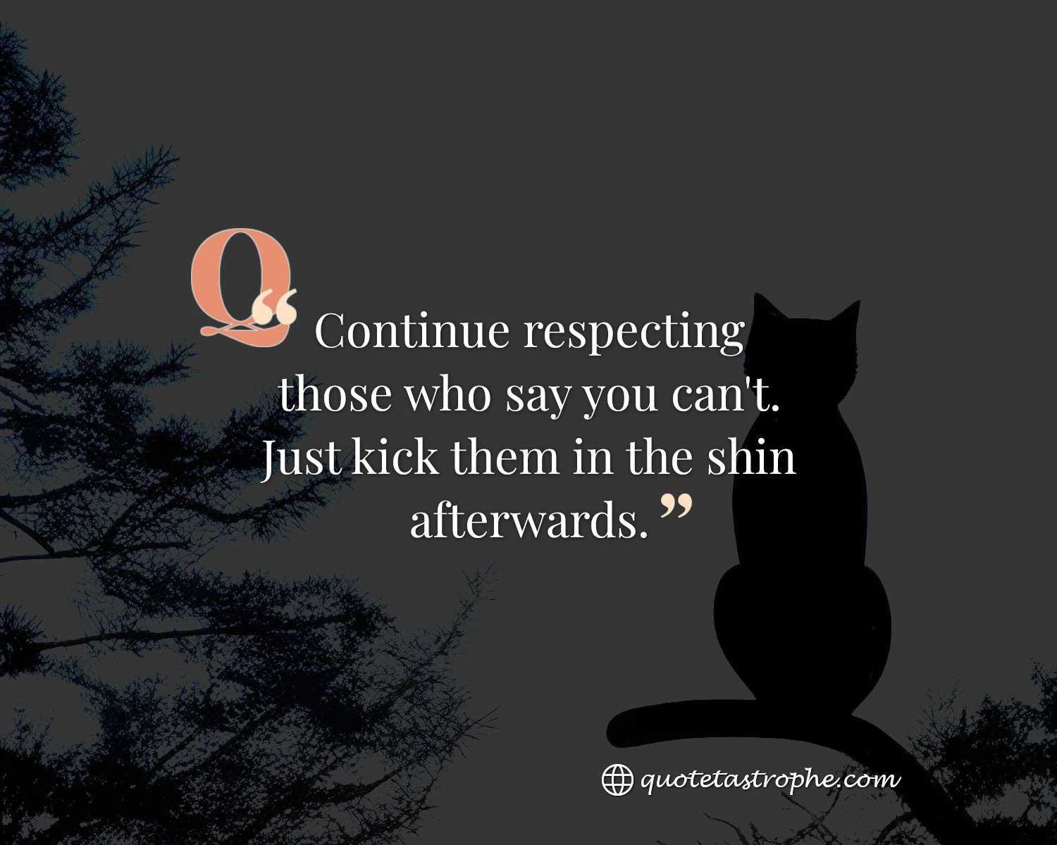 Continue Respecting Those Who Say You Can't