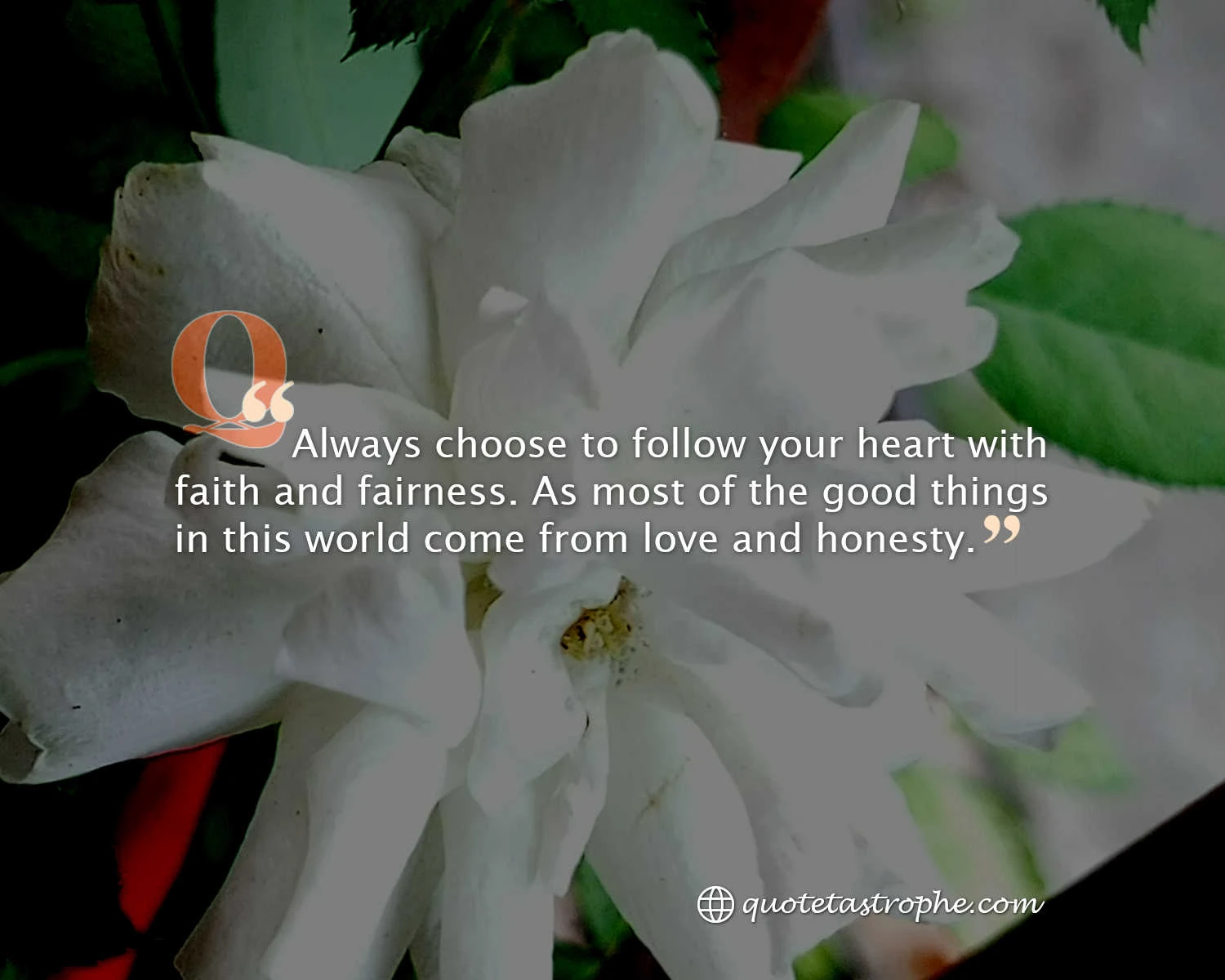 Always Choose to Follow your Heart