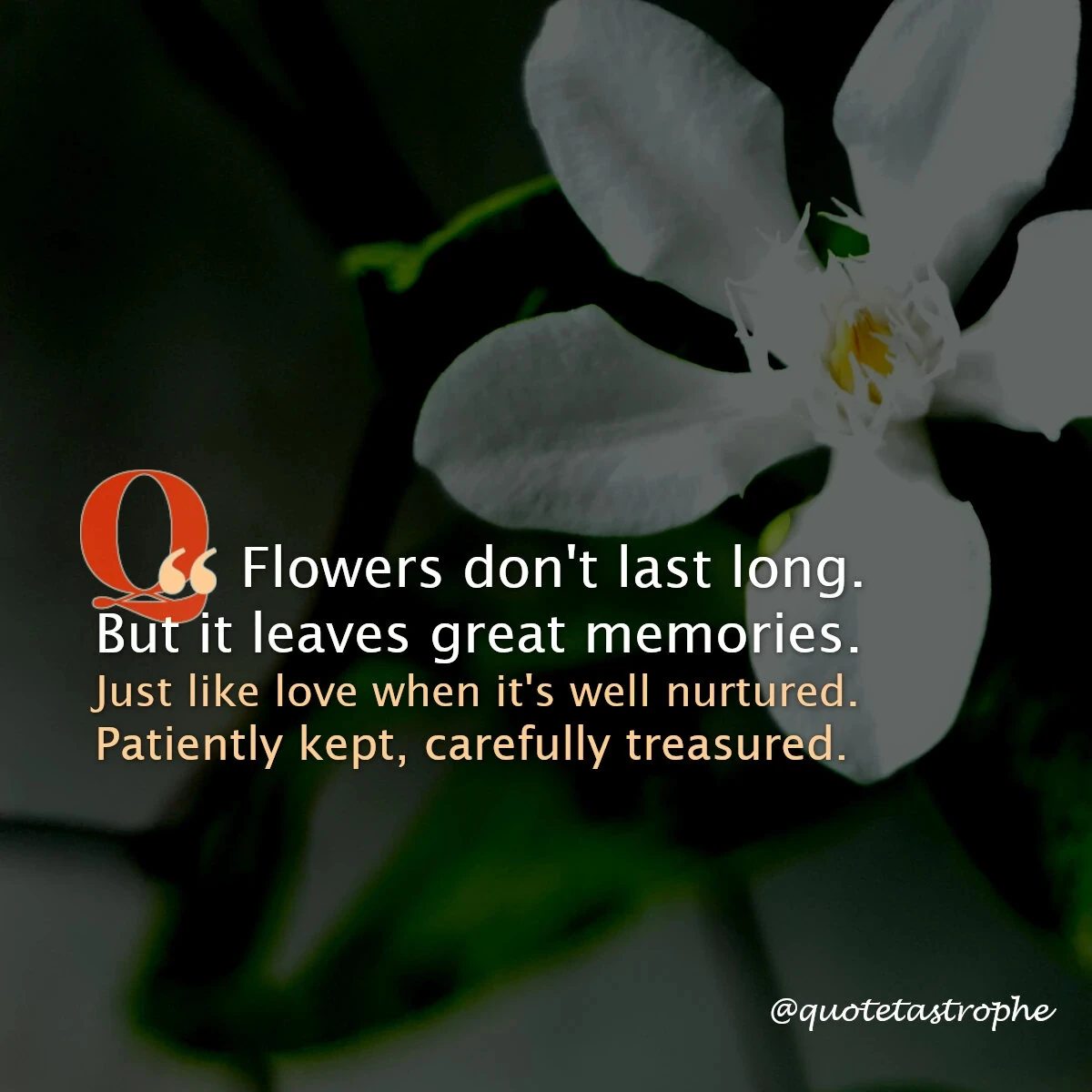 Flowers Don't Last Long