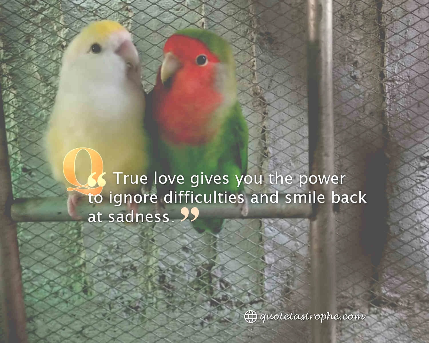 True Love Gives You The Power
