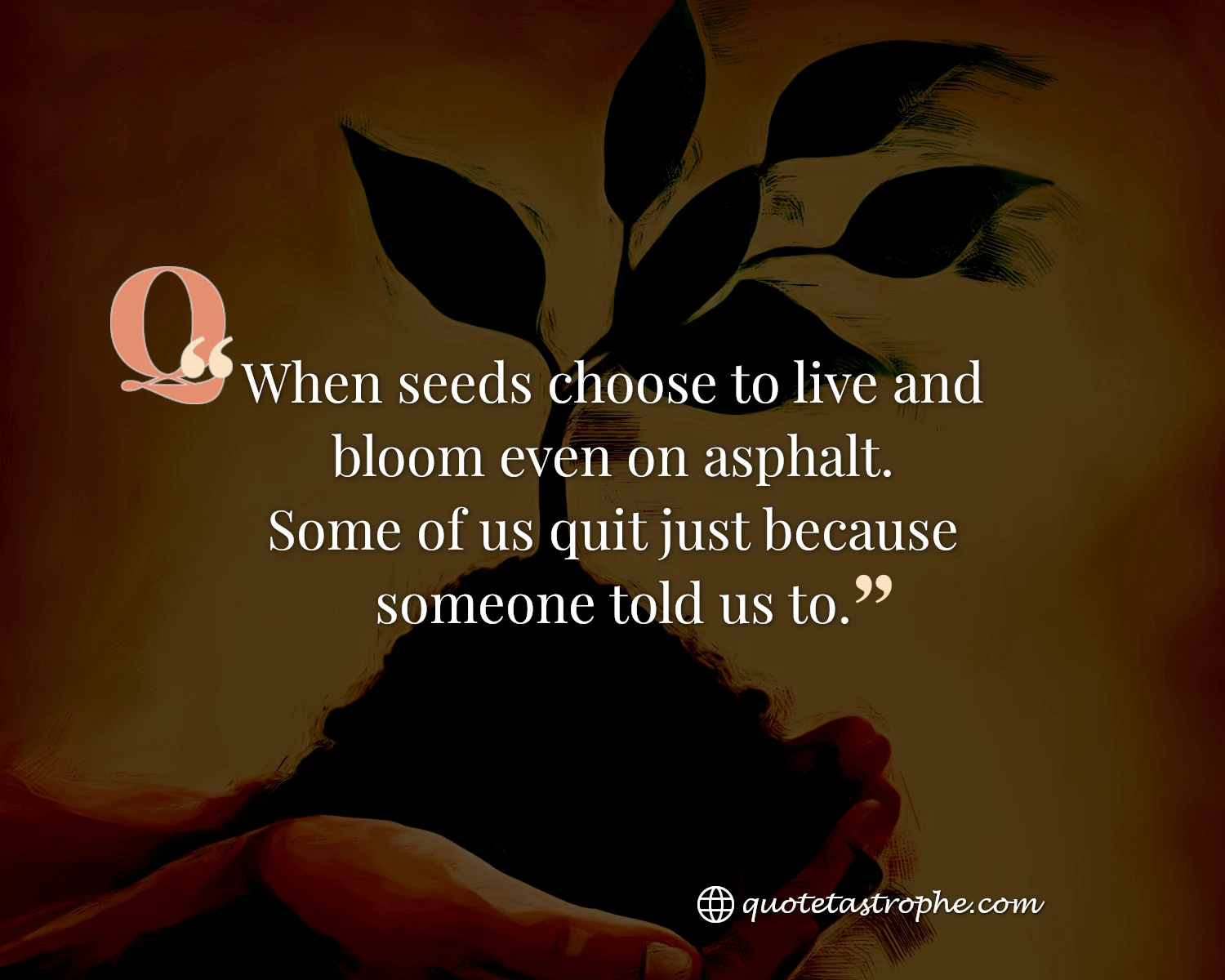 When Seeds Choose To Live and Bloom Even On Asphalt